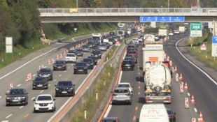 Und ewig grüßt das Murmeltier: Stau vor dem Pfändertunnel.
