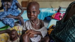 Der Krieg zwischen der sudanesischen Armee und der RSF-Miliz war im April 2023 ausgebrochen. ...