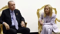 Beim Gaza-Treffen zwischen der Staats- und Regierungschefs fangen Kameras eine skurrile ...