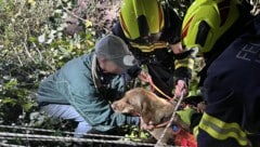 Wiedersehen nach zwei bangen Tagen.