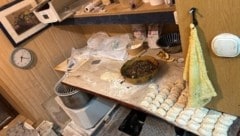 Die Fotos der Gruppe Sofortmaßnahmen schockieren.