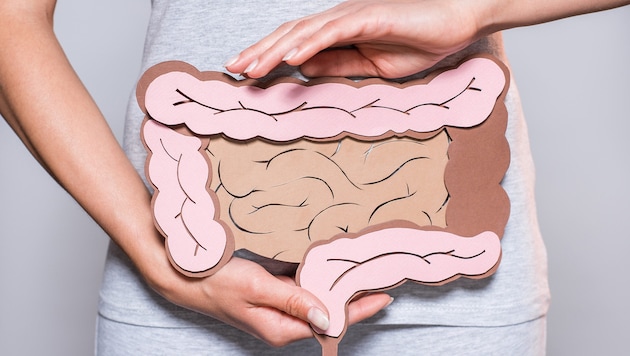 Weniger als 50 Prozent der Betroffenen gehen zur Darmspiegelung. Dabei kann sie am effektivsten ...