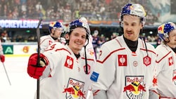 Die Eisbullen haben gut lachen.