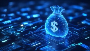 Der Zwischenfall wirft Fragen zu Sicherheitsvorkehrungen im Markt für Digitalwährungen auf.