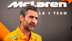 McLaren-Teamchef Andrea Stella