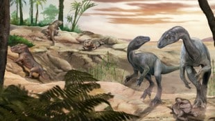 Eine künstlerische Rekonstruktion des Aussehens des Dinosauriers Huayracursor jaguensis (rechts)