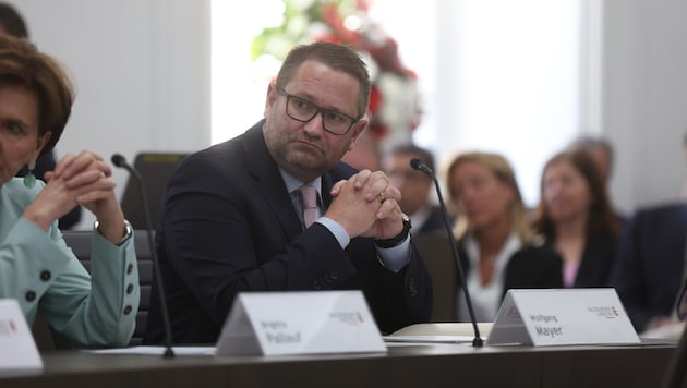 ÖVP-Klubobmann Wolfgang Mayer macht sich selbstständig.
