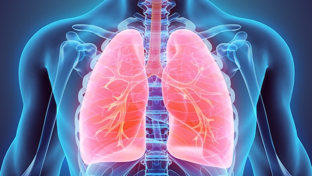 COPD: Kranke Lunge im Fokus.