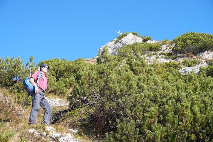 Durch Latschen und auf felsigem Terrain geht es auf einem urtümlichen Steig unschwierig hinauf ...