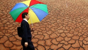 Vor allem durch die vom Klimawandel verursachten Dürreperioden versagen Regenwälder zunehmend ...