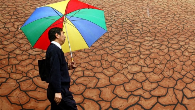 Vor allem durch die vom Klimawandel verursachten Dürreperioden versagen Regenwälder zunehmend ...