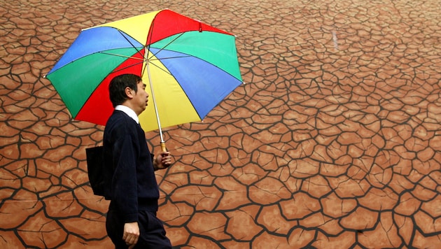 Vor allem durch die vom Klimawandel verursachten Dürreperioden versagen Regenwälder zunehmend ...