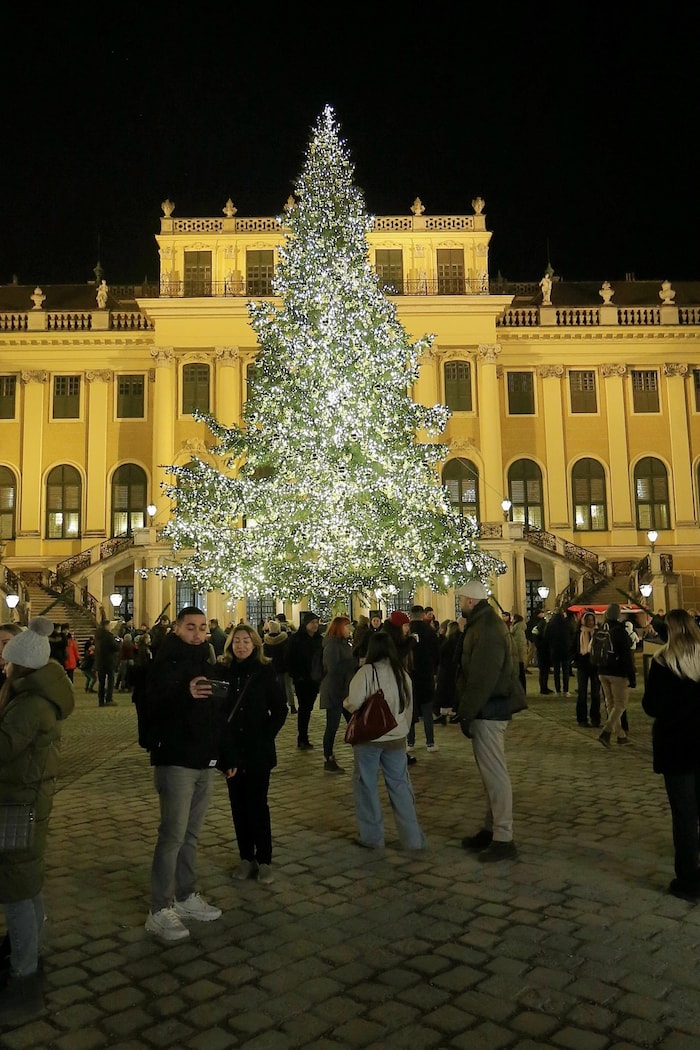 Bereits nächste Woche wird der Baum vor dem Schloss Schönbrunn (Archivbild aus dem Vorjahr) ...