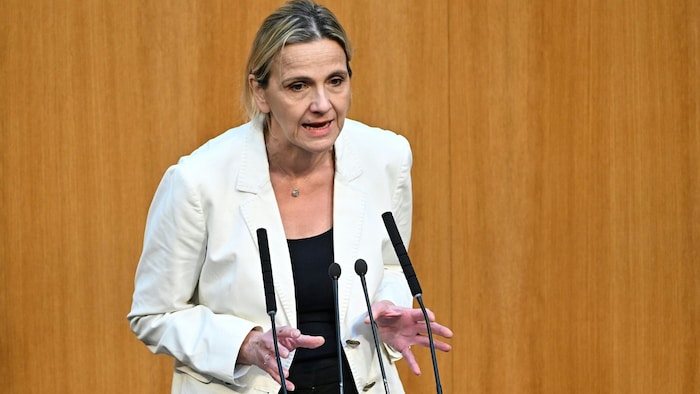 Dagmar Belakowitsch (FPÖ) meint, die neuen Regelungen „bevorzugen Herrschaften aus dem ...