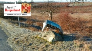Erinnerung an die Reblaus durch eine Installation am Weinwanderweg Oggau. 