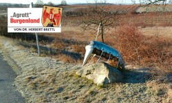 Erinnerung an die Reblaus durch eine Installation am Weinwanderweg Oggau. 