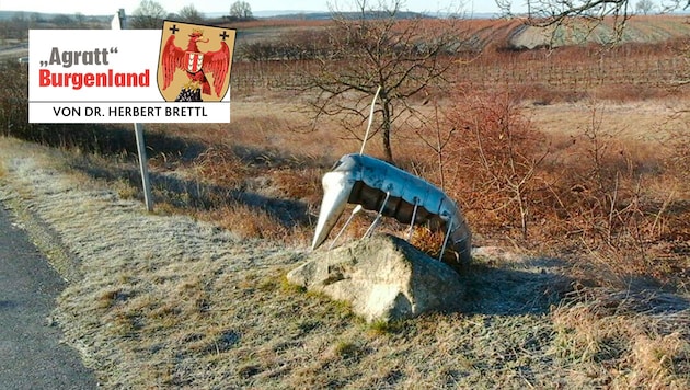 Erinnerung an die Reblaus durch eine Installation am Weinwanderweg Oggau.
