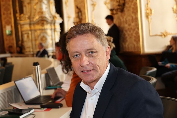 Lambert Schönleitner, Grüne
