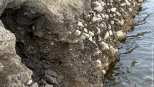 Hier wurden die sterblichen Überreste entdeckt – doch statt eines Kriminalfalls entpuppte sich ...