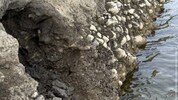 Hier wurden die sterblichen Überreste entdeckt – doch statt eines Kriminalfalls entpuppte sich ...