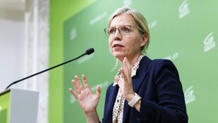 Grünen-Klubobfrau Leonore Gewessler sind einige geplante Bauprojekte ein Dorn im Auge.