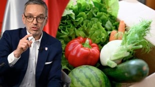 Kickl will nun Lebensmittel des täglichen Bedarfs und aus der Region zum stabilen Preis bei ...