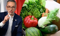 Kickl will nun Lebensmittel des täglichen Bedarfs und aus der Region zum stabilen Preis bei ...