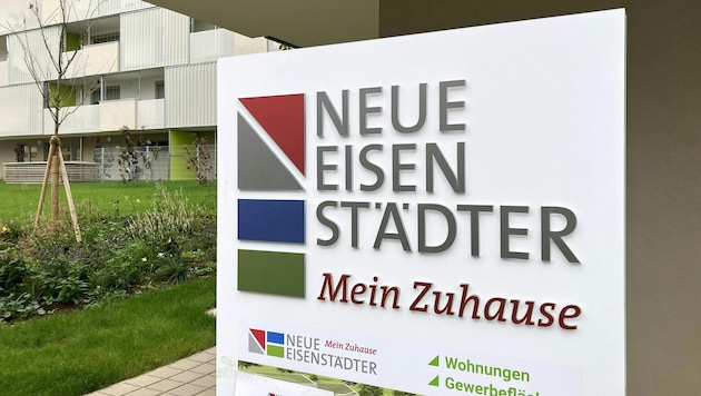 Ende Dezember oder im Jänner könnte der U-Ausschuss starten.