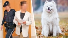 Rabiate Seniorin wurde in Wien aus der U-Haft vorgeführt. Bei Abnahme ihres Samojeden ...