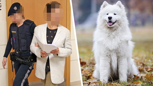 Rabiate Seniorin wurde in Wien aus der U-Haft vorgeführt. Bei Abnahme ihres Samojeden ...