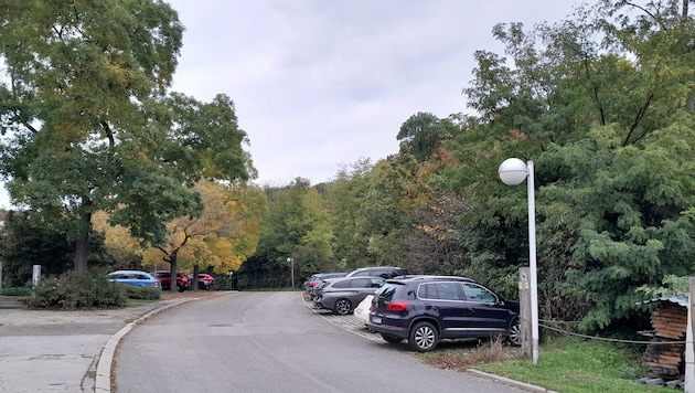 Auf der linken Seite befindet sich das Landesstudio, auf der rechten soll das Weingut gebaut ...