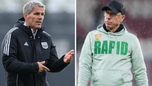 Didi Kühbauer, Peter Stöger