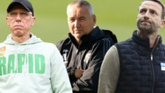 Peter Stöger, Peter Pacult und Ferdinand Feldhofer (von links): sind sich weitgehend einig: Die ...