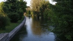 Der Mühlbach in Wels