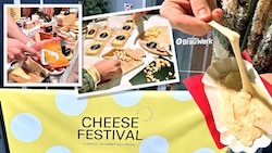 Wir haben das Cheese Festival 2025 getestet.