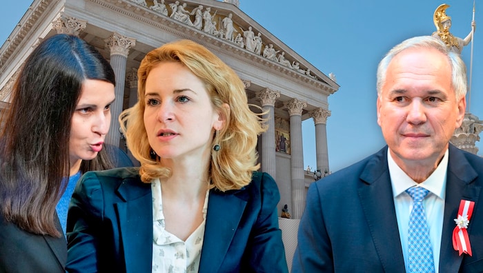 Die Grünen und SPÖ (im Bild Frauensprecherin Meri Disoski und Frauenministerin Eva-Maria ...