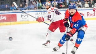 500 Ligapartien für die Bulls: Flo Baltram (li.).