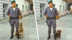 Zehn Jahre war Hummer Hundeführer, für seinen Dackel muss er den Sachkundenachweis erbringen. Um ...