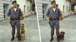 Zehn Jahre war Hummer Hundeführer, für seinen Dackel muss er den Sachkundenachweis erbringen. Um ...