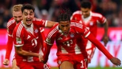 Die Bayern marschieren durch die Bundesliga, sind auch wirtschaftlich ein Gigant.