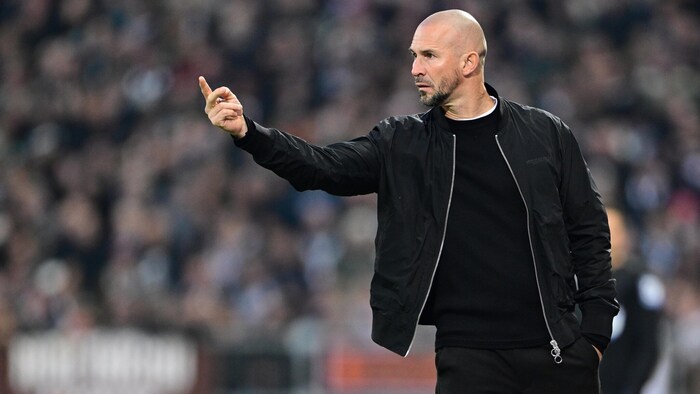 Hoffenheim-Trainer Christian Ilzer