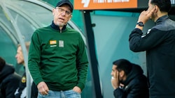 Rapid-Trainer Peter Stöger steht unter Druck.