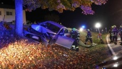 Der Lenker krachte mit voller Wucht gegen einen Baum.