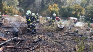 61 Einsatzkräfte schritten am Sonntag am Puxberg ein.