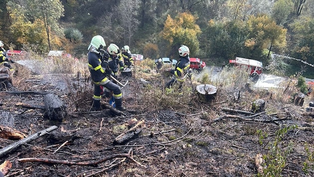 61 Einsatzkräfte schritten am Sonntag am Puxberg ein.