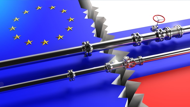 Nach dem Angriff Russlands auf die Ukraine hat die EU bereits weitgehende Einfuhrverbote für ...