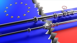 Nach dem Angriff Russlands auf die Ukraine hat die EU bereits weitgehende Einfuhrverbote für ...