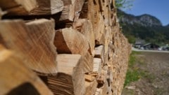 Holz ist noch immer ein gefragter Energielieferant.