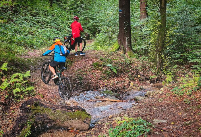 Für Mountainbike und Abenteuerlustige ist die Bucklige Welt ein wahres Paradies.