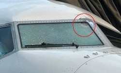 Der Einschlag ist auf Bildern eindeutig erkennbar – dennoch konnte das Flugzeug sicher landen.